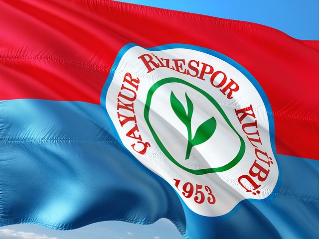 也是球队在 也是球队在