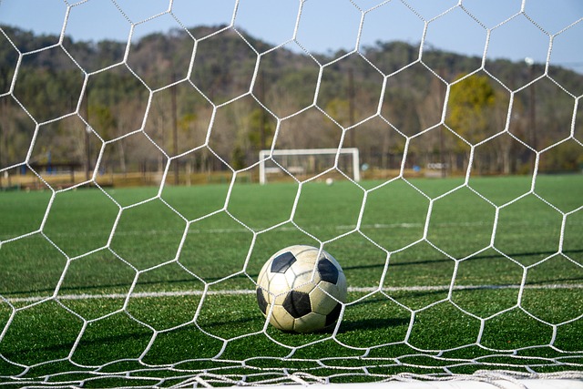 展中的重要 展中的重要