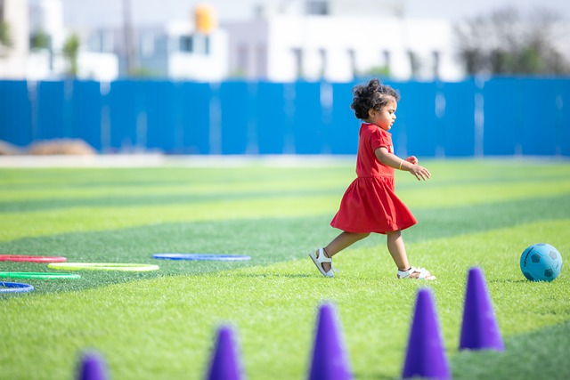 输出的关键 输出的关键