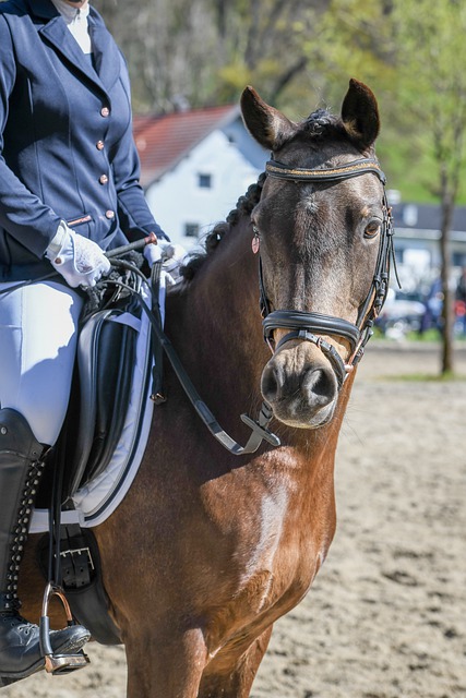 小的波澜 小的波澜