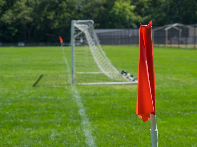 了质的飞跃 了质的飞跃