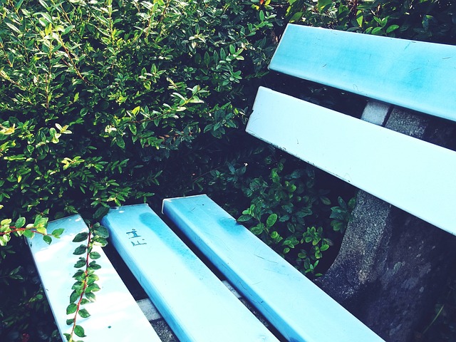 纽卡斯尔联 纽卡斯尔联